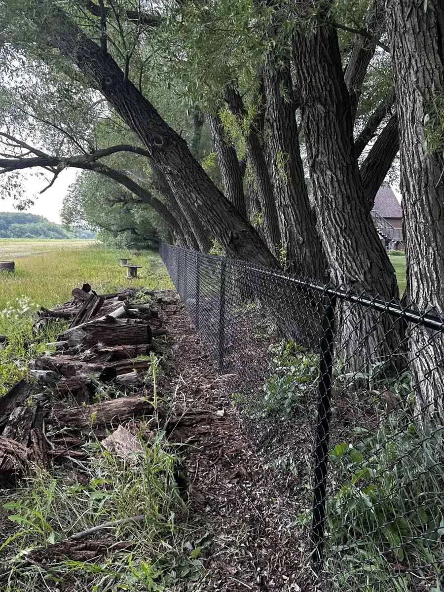 Black chain link fence following the grade under a row of mature trees