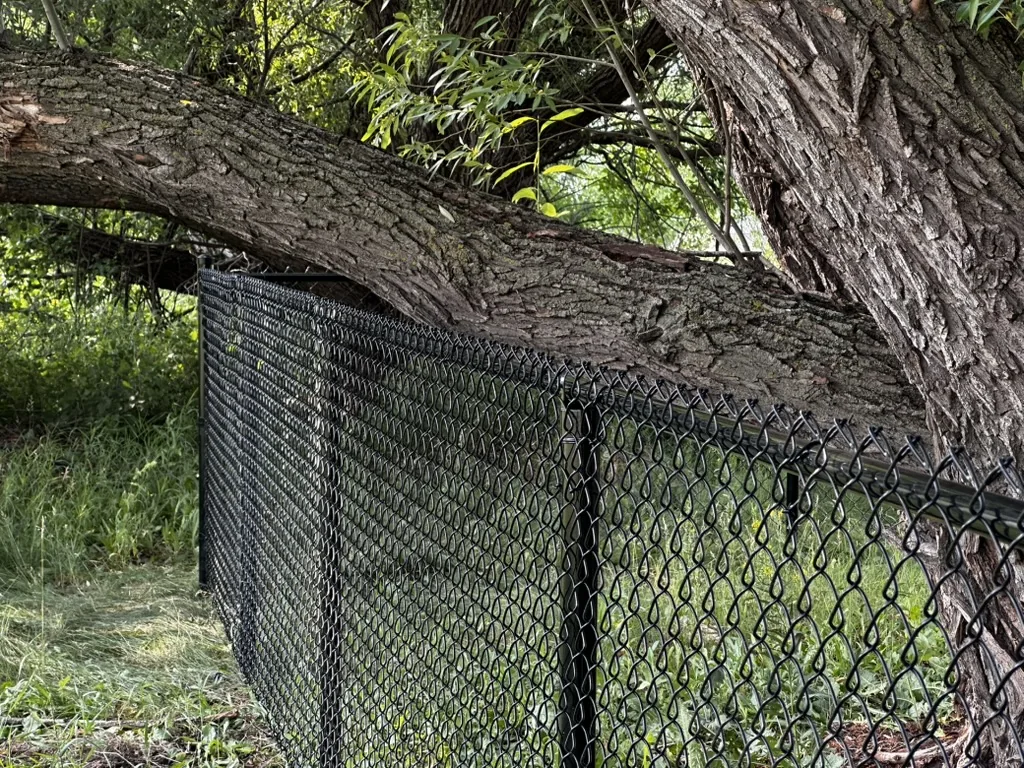 4ft black chain link